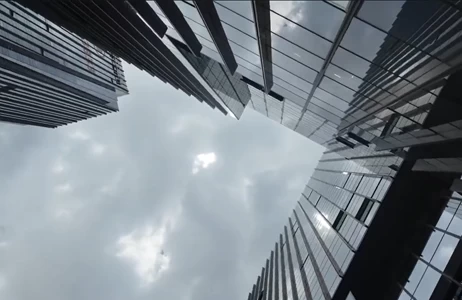 D20