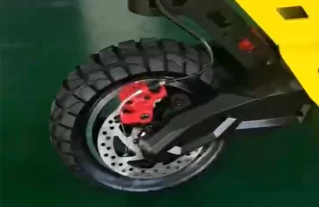 D20